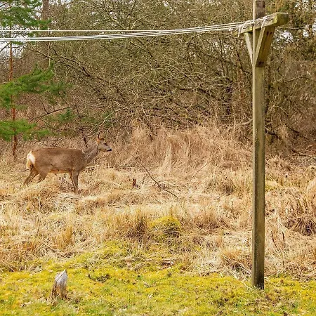 Dom wakacyjny 6 Person Holiday In R M