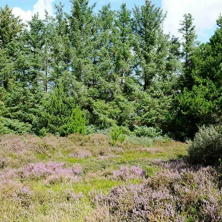 Dom wakacyjny 6 Person Holiday In R M *